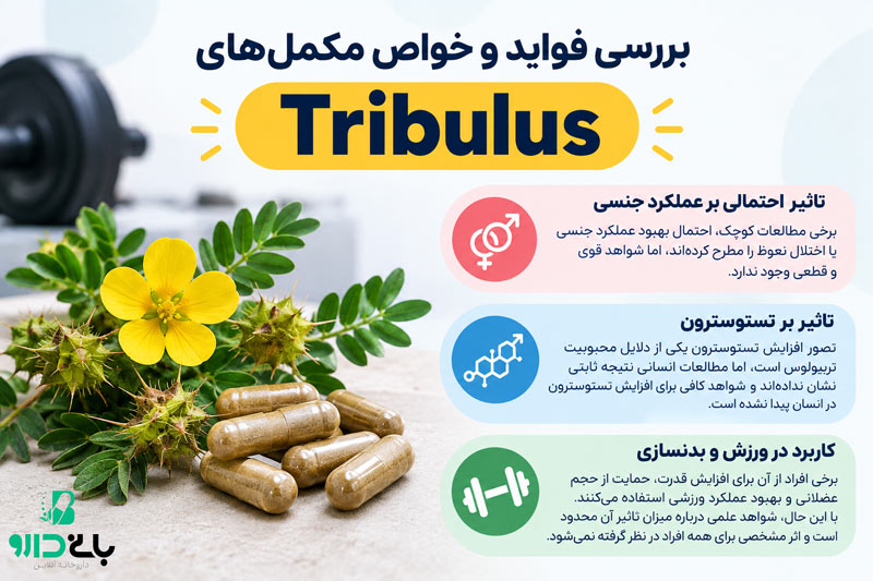 بررسی فواید و خواص مکمل های Tribulus